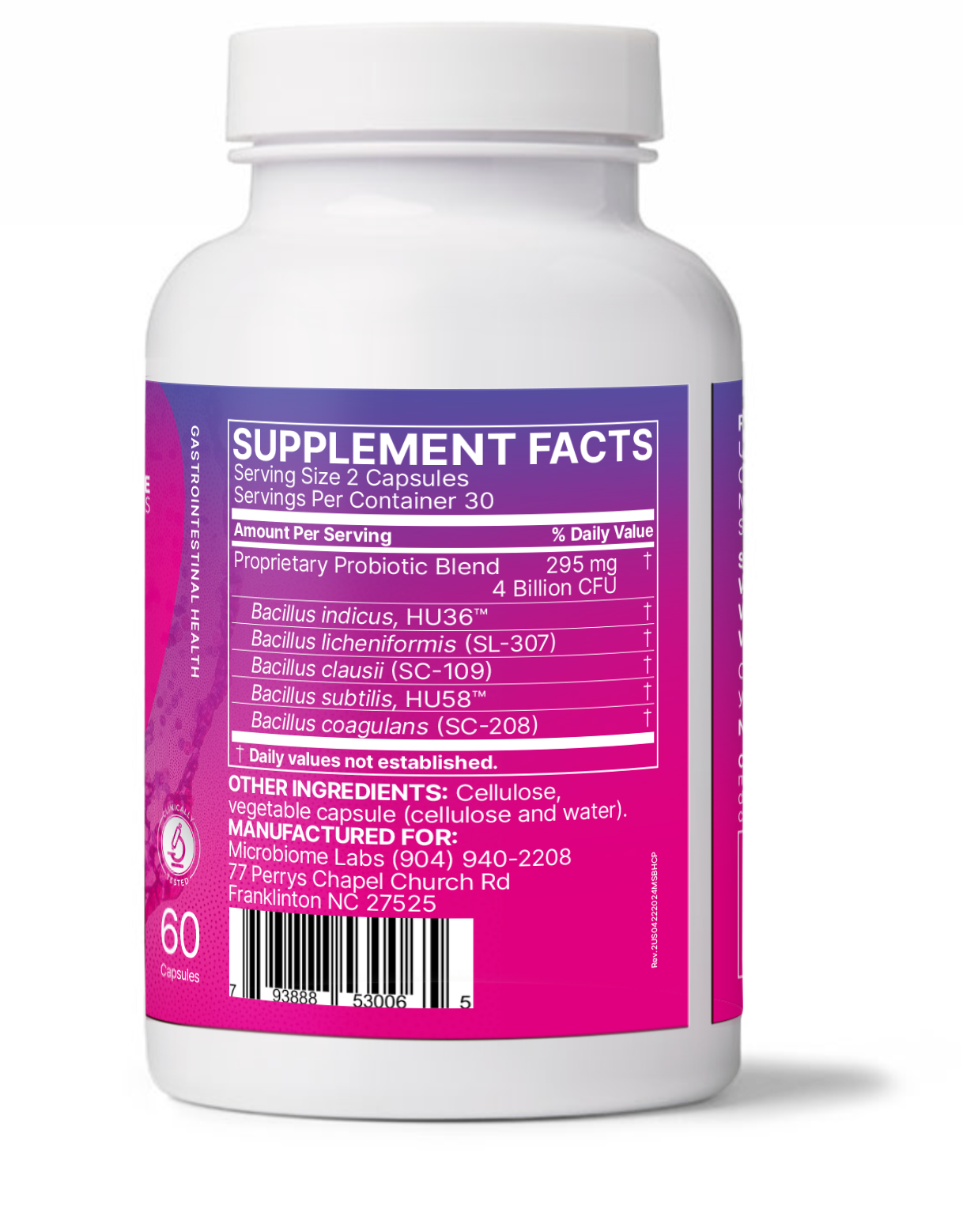 Motoo3600ビカクシダ　willinckii Omega spore Motoo3600ビカクシダ willinckii Omega spore ビカクシダ